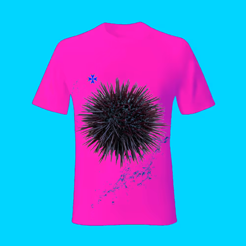 Item #86136628802555771815905910243621079241309673987660007471085969649995402444880 Media
