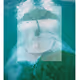 DISSOLVE by Naomi Olson