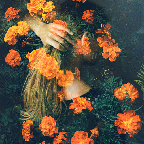 Gardens of Illusions