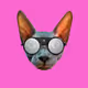 sphynx V3