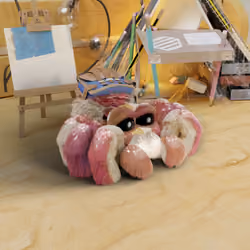 Pinkie the Raspberry Spider