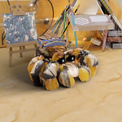 Hornet