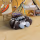 5098
