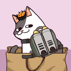 Soft Cat #66