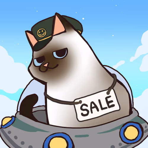 Soft Cat #202