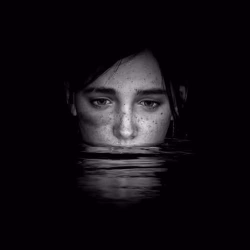 Videogame Photography