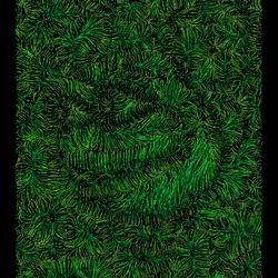 24