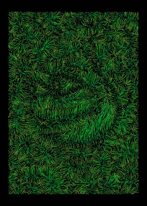 Item #24 Media