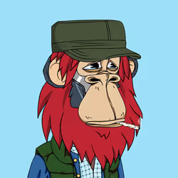 Lazy Ape Official #224