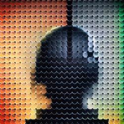 338