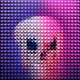 343