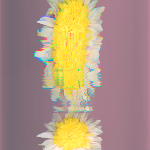 Secret Life Of Flowers