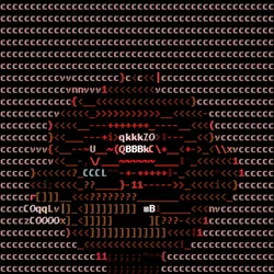 40