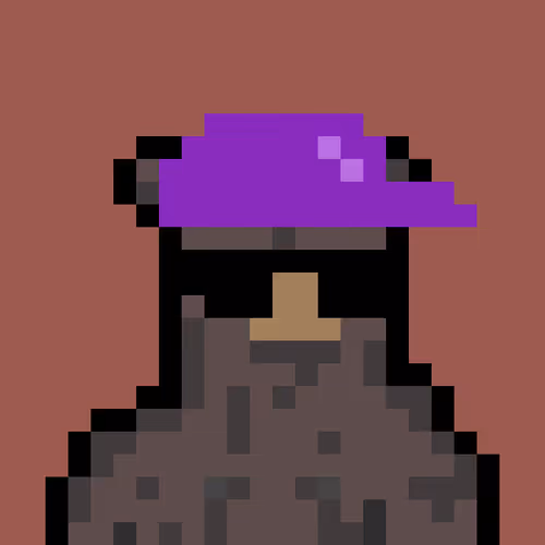 Bera Punk