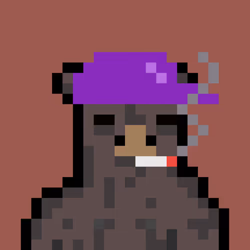 Bera Punk