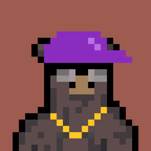 Bera Punk