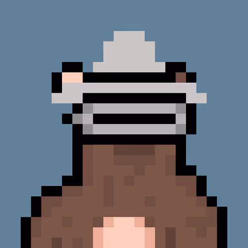 Bera Punk