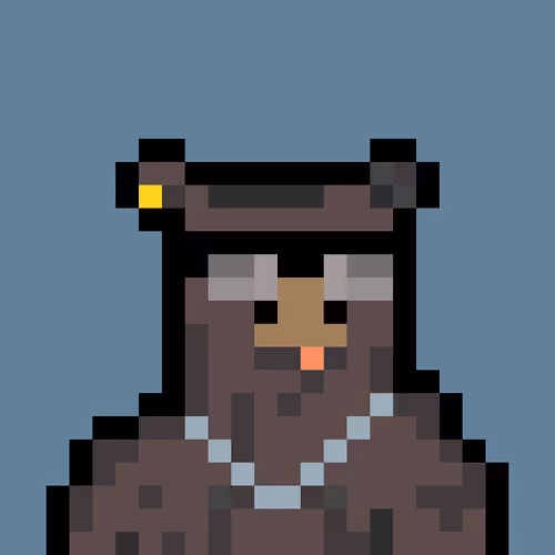 Bera Punk