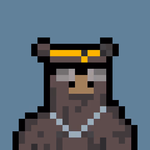 Bera Punk