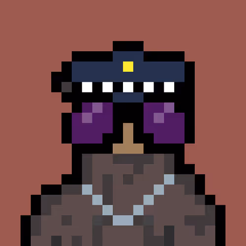 Bera Punk