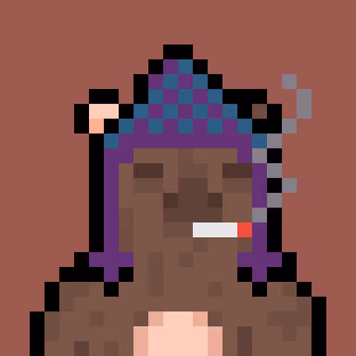 Bera Punk