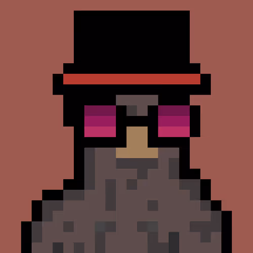 Bera Punk