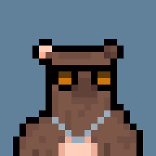 Bera Punk