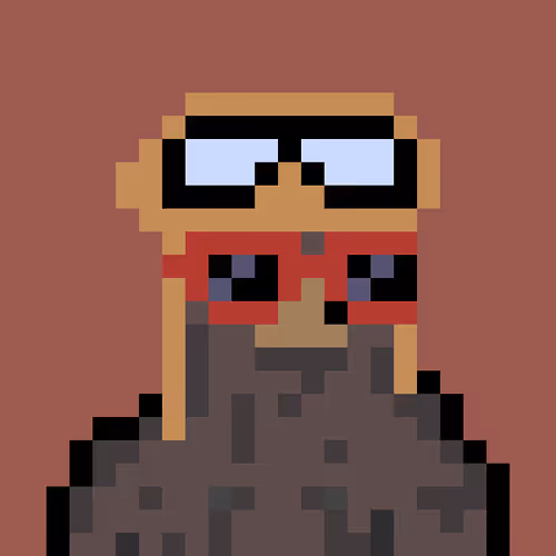 Bera Punk