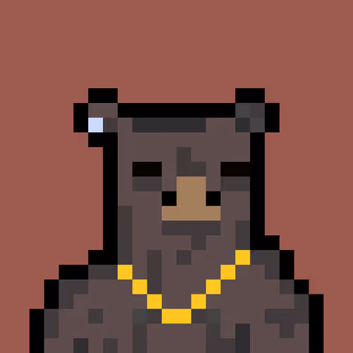 Bera Punk