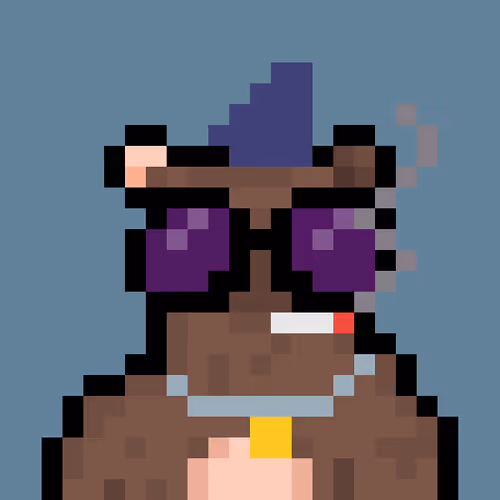 Bera Punk