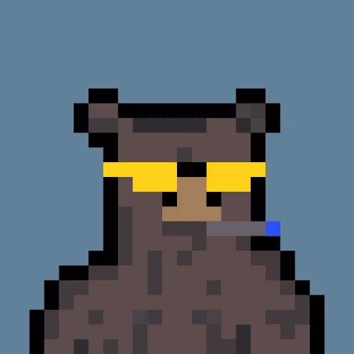 Bera Punk