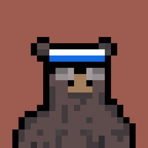 Bera Punk