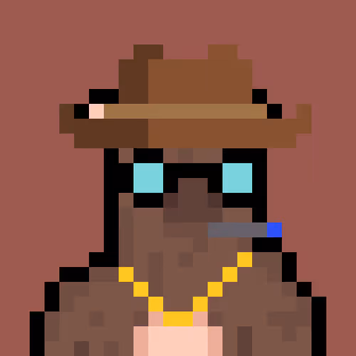 Bera Punk