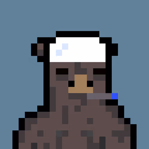 Bera Punk