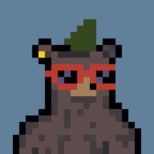 Bera Punk
