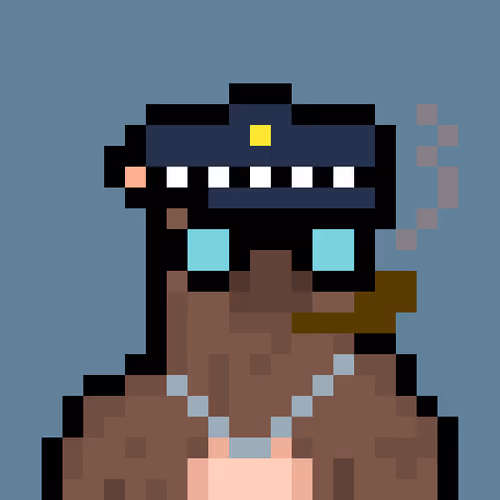 Bera Punk