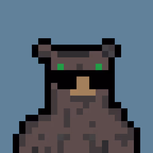 Bera Punk