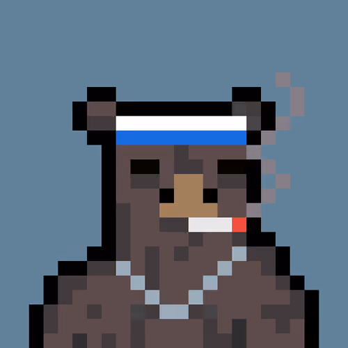 Bera Punk