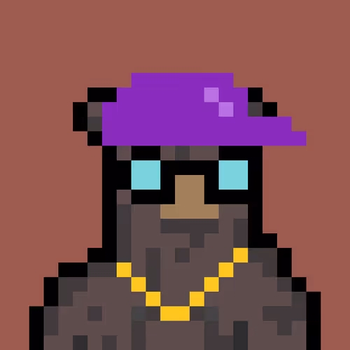 Bera Punk