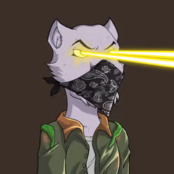 334