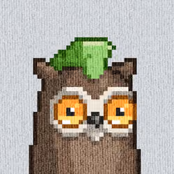 Rug Bird #5762