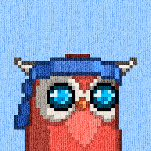Rug Birds