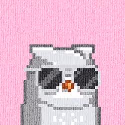 Rug Bird #8420
