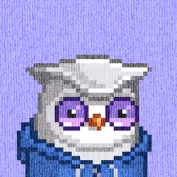 Rug Bird #6524