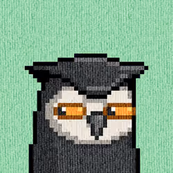 Rug Bird #230