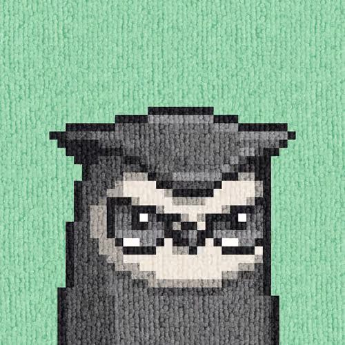 Rug Bird #3797