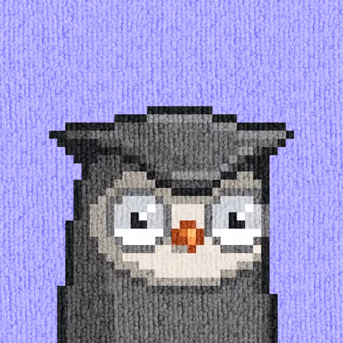 Rug Bird #1541