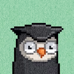 Rug Bird #6938