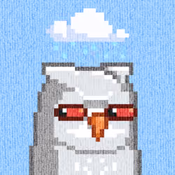 Rug Bird #854
