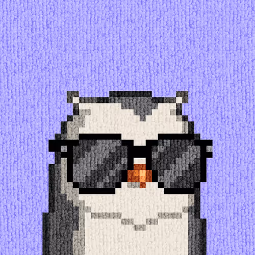 Rug Birds